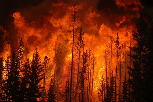Dichiarazione stato di massima pericolosità per gli incendi boschivi su tutto il territorio regionale a partire dal 16/01/22